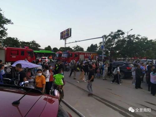 南阳最新爆料,揭秘背后惊人真相